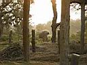 Chitwan Jungle Safari 41.JPG